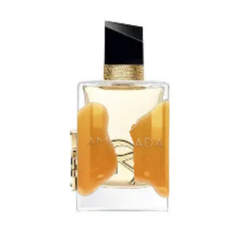 Impression of YSL - Libre